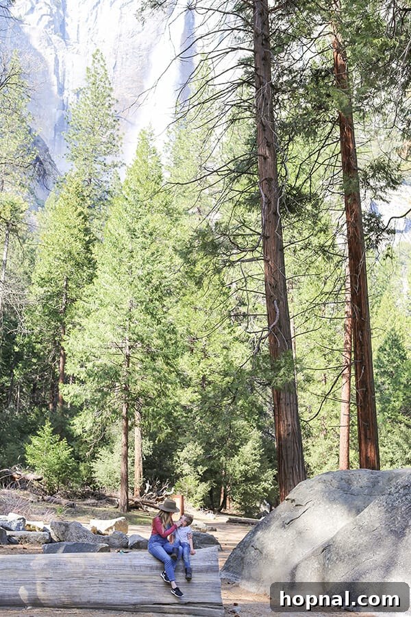 Little Explorers, Big Yosemite 2 Eden Passante with her son sitting in Yosemite, enjoying the serene winter landscape