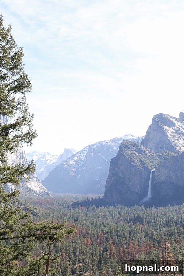 Little Explorers, Big Yosemite 17 The majestic landscape of Yosemite National Park, inviting exploration