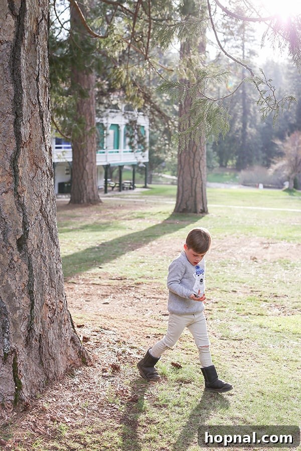 Little Explorers, Big Yosemite 4 A young boy running gleefully through the picturesque landscape of Yosemite
