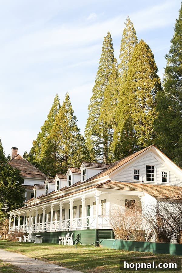 Little Explorers, Big Yosemite 6 The charming exterior of Big Trees Lodge in Yosemite National Park