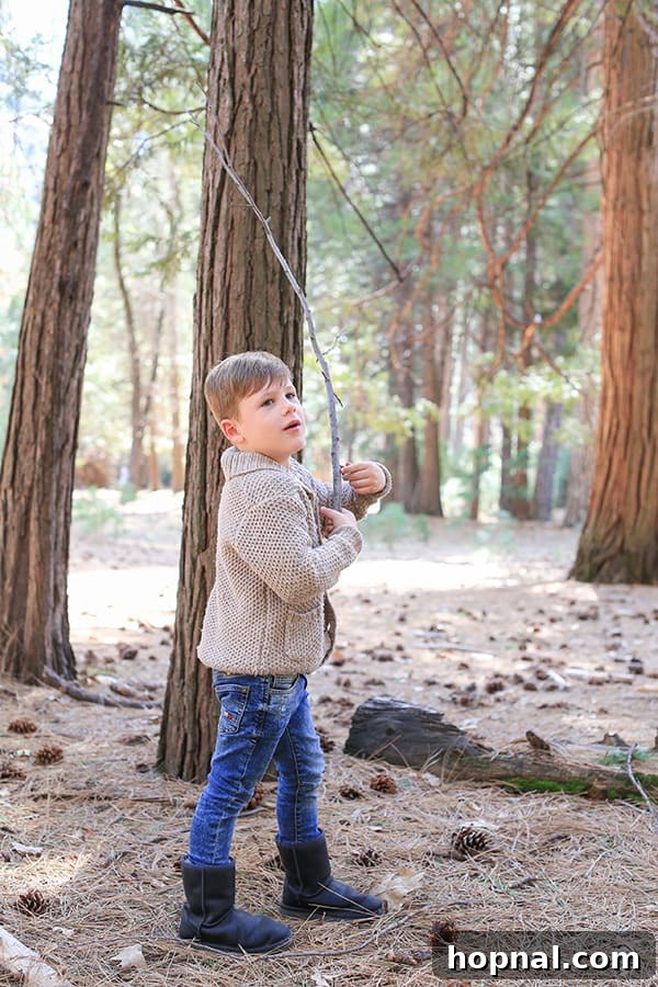 Little Explorers, Big Yosemite 9 A little boy joyfully exploring the forest near The Majestic Yosemite