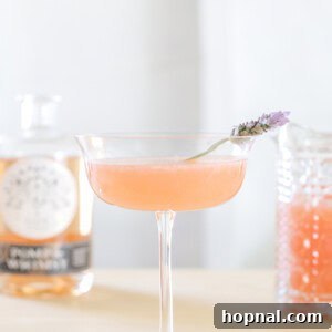 Whippet Cocktail with Pomp & Whimsy