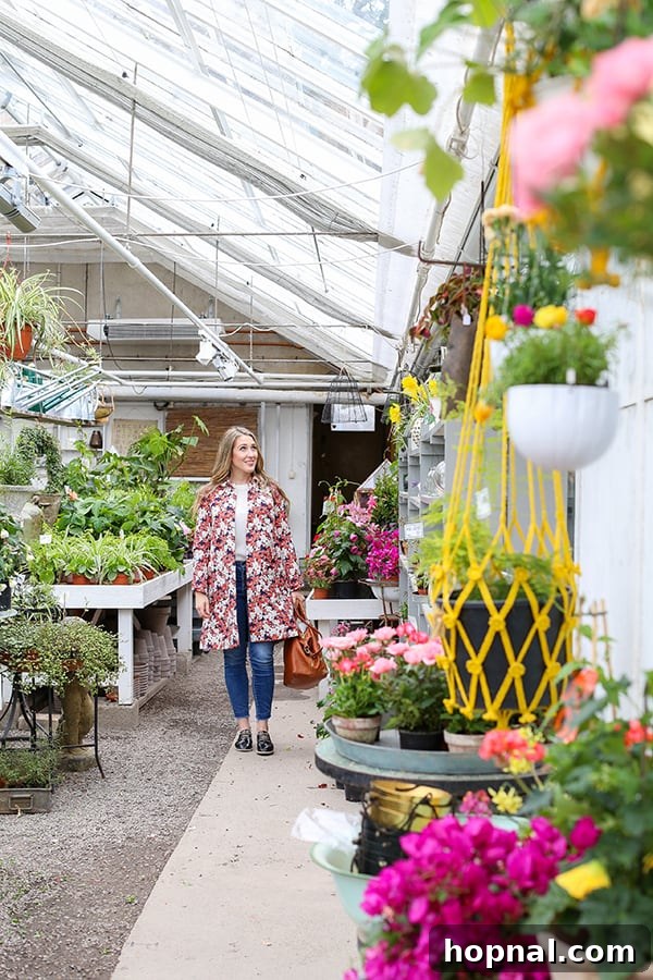 Beautiful flowers and plants in the garden