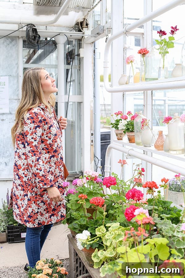 Inside Rosendals Trädgård's glass greenhouse cafe