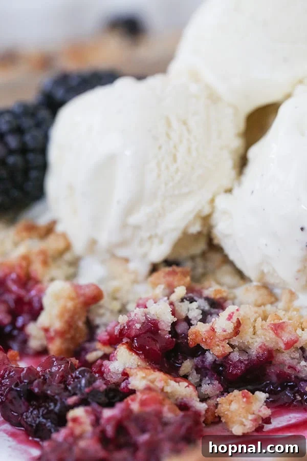 Sweet Blackberry Crumble Cobbler 6 Close up of blackberry cobbler with vanilla ice cream.