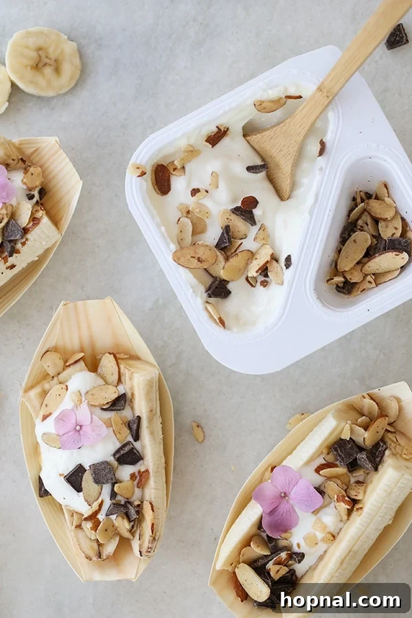 Banana Split Fever 5 Overhead shot of freshly prepared Nana Splits with various toppings, emphasizing their vibrant and appealing presentation, ready for serving.