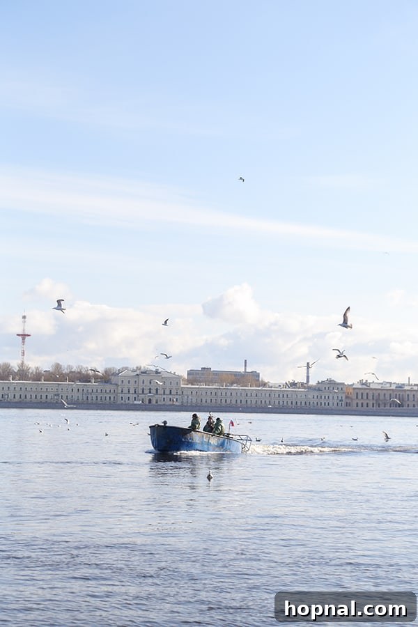Boat tour in St. Petersburg with architectural views