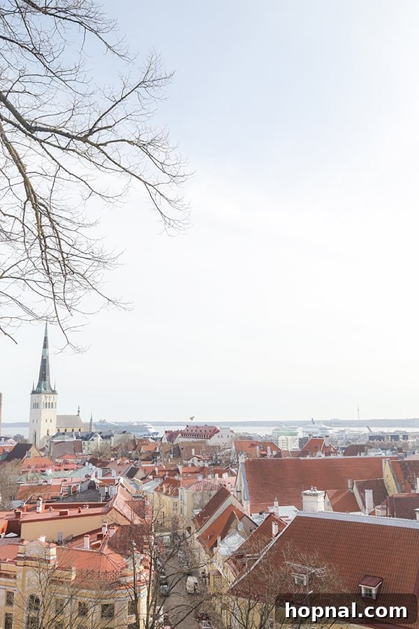 Panoramic view of Tallinn's red roofs