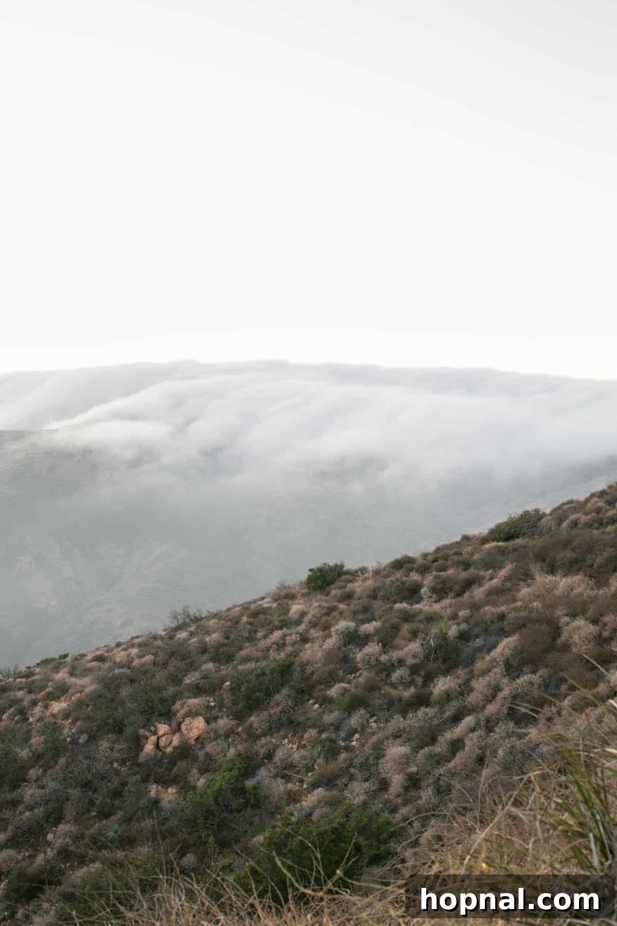 The Art of Airstream Entertaining in Malibu 19 Dramatic clouds rolling over a Malibu mountain at sunset, creating a stunning and unique natural spectacle during a glamping trip.