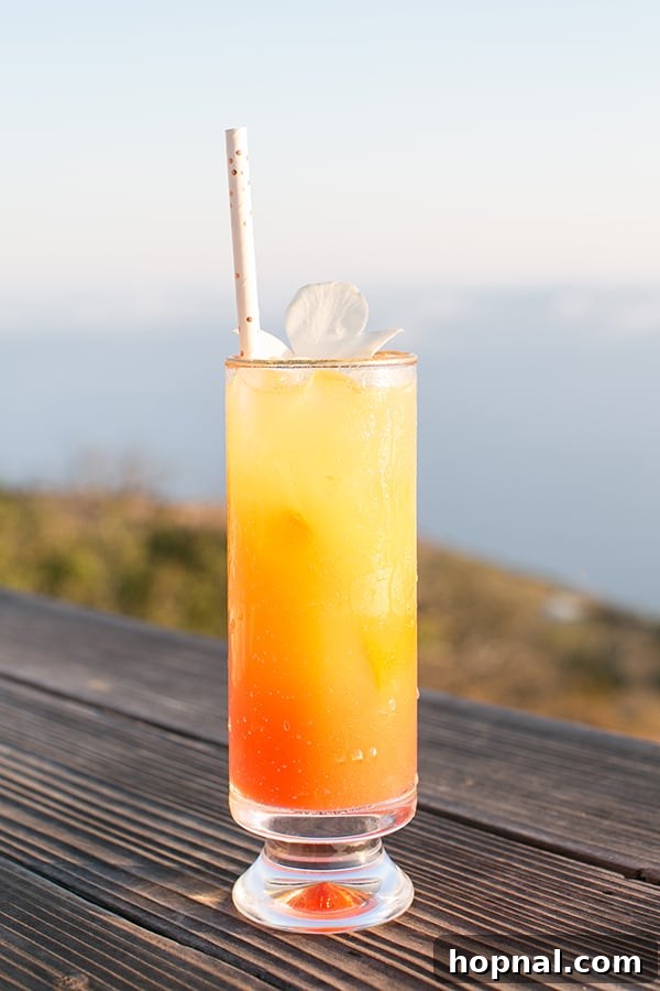 The Art of Airstream Entertaining in Malibu 9 A vibrant, colorful sunset cocktail, beautifully crafted to resemble the Malibu sunset, perfect for an evening drink on the deck.
