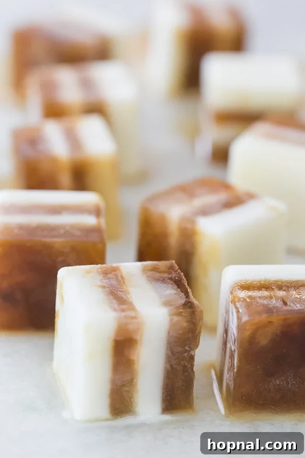 Pumpkin Spice Coffee Chillers 2 Two glasses of iced coffee with pumpkin spice and hazelnut coffee cubes, garnished with a cinnamon stick.