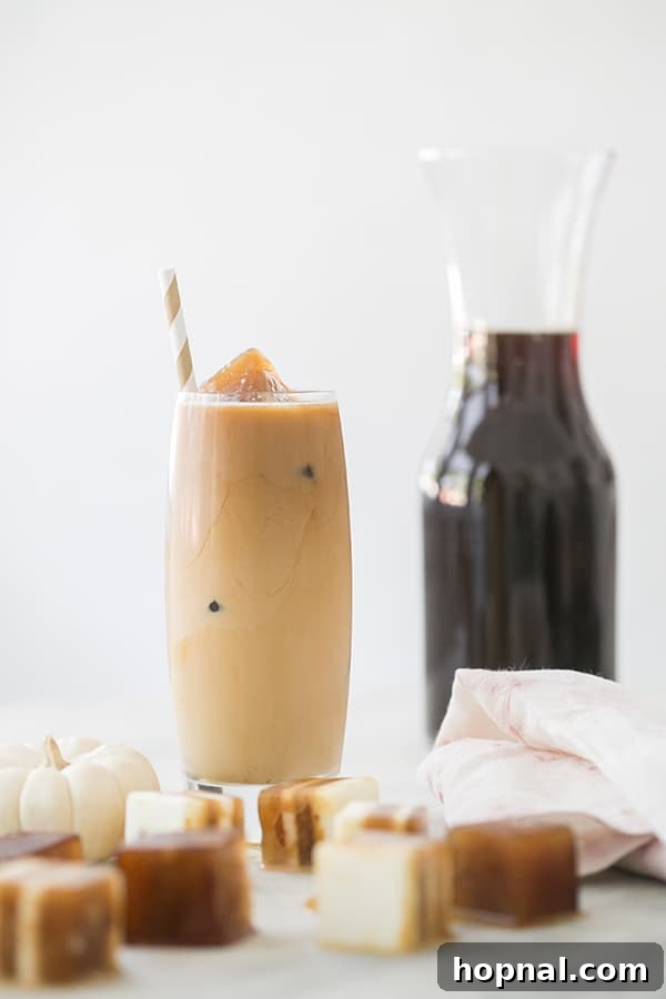 Pumpkin Spice Coffee Chillers 7 A glass of iced coffee with multiple coffee cubes, ready to be served on a table with a fall theme.