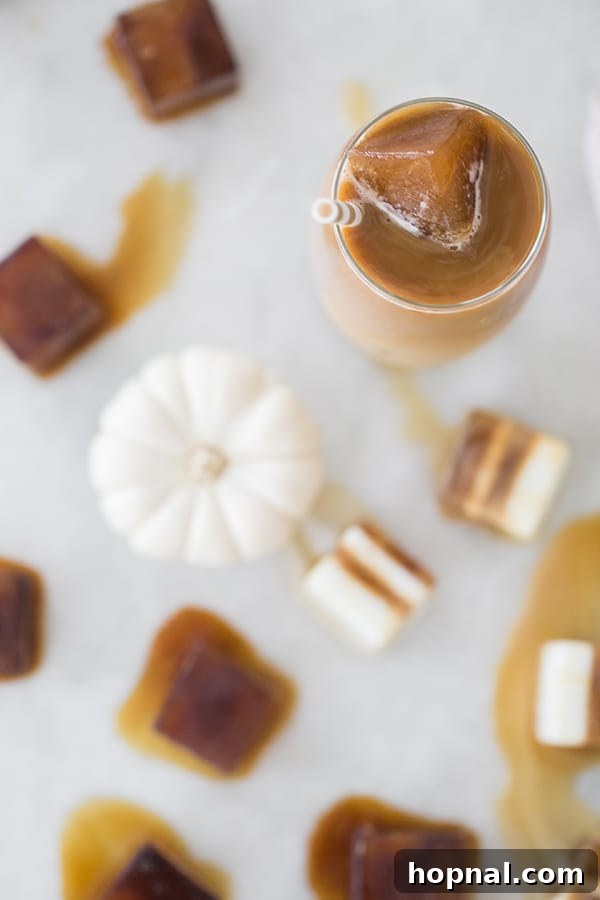 Pumpkin Spice Coffee Chillers 8 A hand holding a clear glass of iced coffee with pumpkin spice and hazelnut coffee cubes.