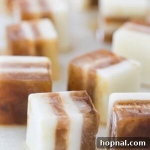 Finished Pumpkin Spice & Hazelnut Coffee Cubes ready for use.