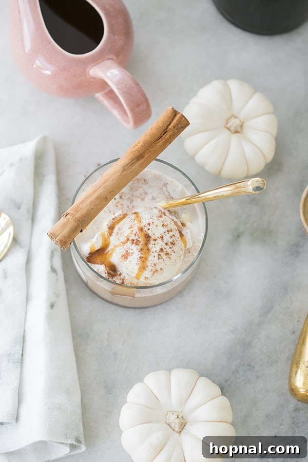 Autumn Spiced Affogato Dream 5 Close-up of three scoops of ice cream in a glass, topped with a cinnamon stick, showcasing the creamy texture.