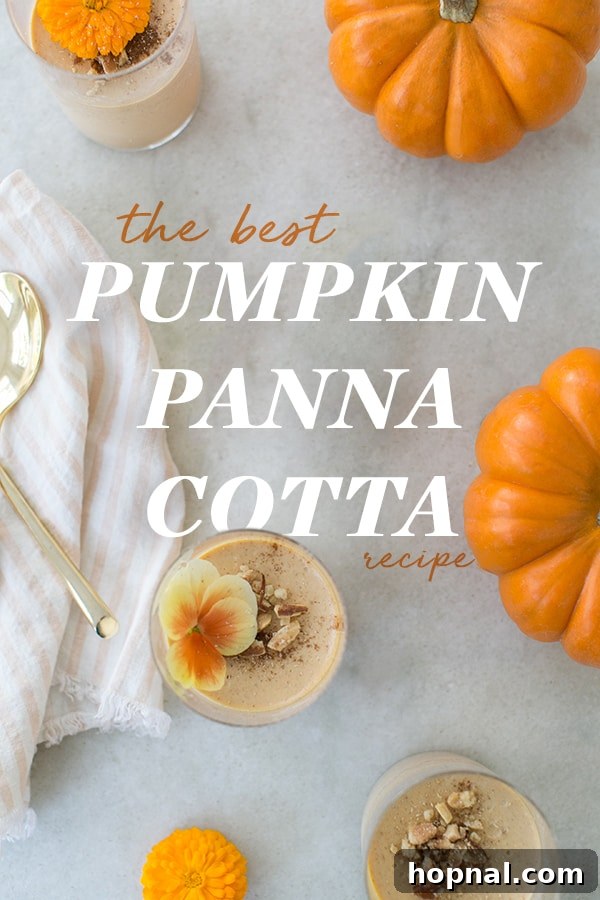Pumpkin Panna Cotta Perfection 2 Top shot of two decadent pumpkin panna cottas, garnished beautifully for a fall treat.