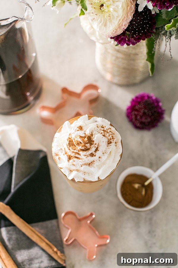 Spiced Gingerbread Cold Brew Latte 5 Gingerbread Cold Brew Latté