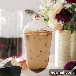 Delicious Gingerbread Cold Brew Latte with whipped cream and spice