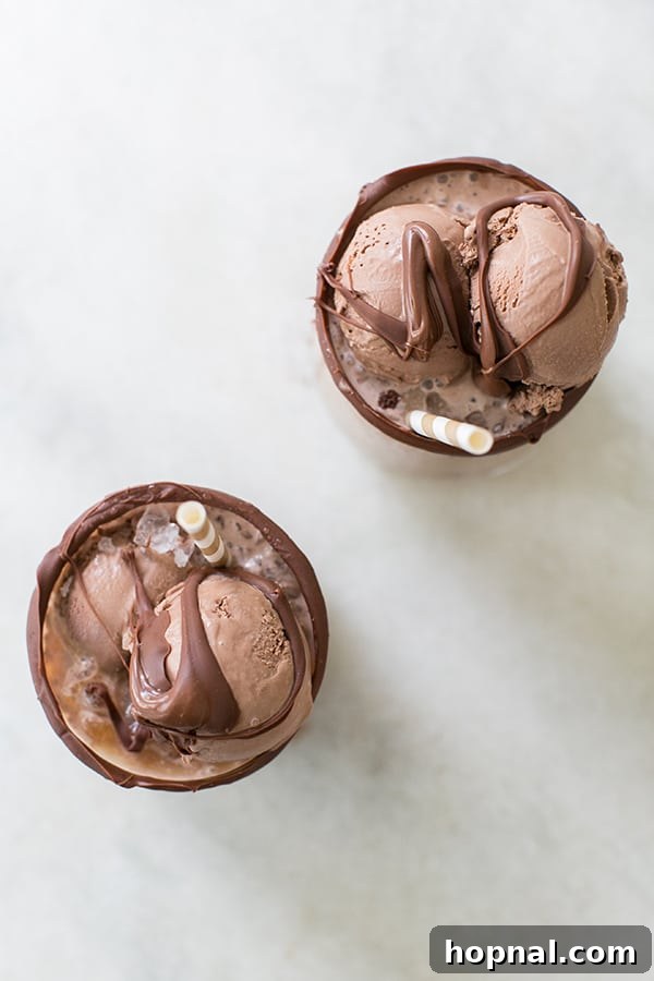 Frosted Cold Brew Dreams 2 Cold brew coffee floats with chocolate ice cream and melted chocolate.