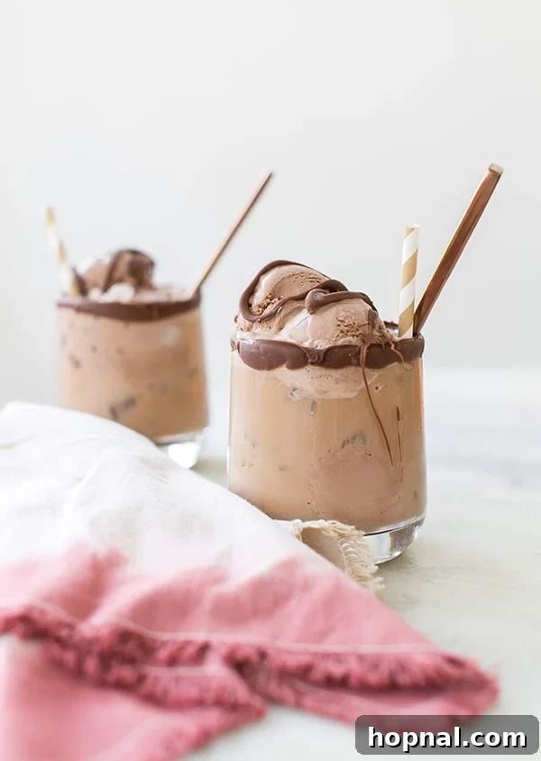 Frosted Cold Brew Dreams 3 chocolate ice cream topped with coffee and melted chocolate.