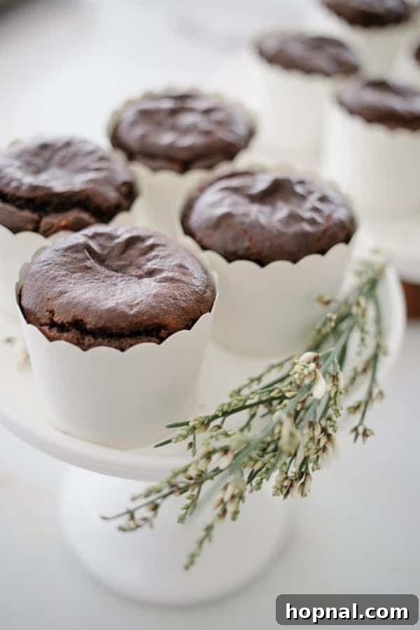 9 Scrumptious Whole30 Desserts for a Healthy Treat 7 Clean Chocolate Cupcakes - Whole30 inspired sweet treat