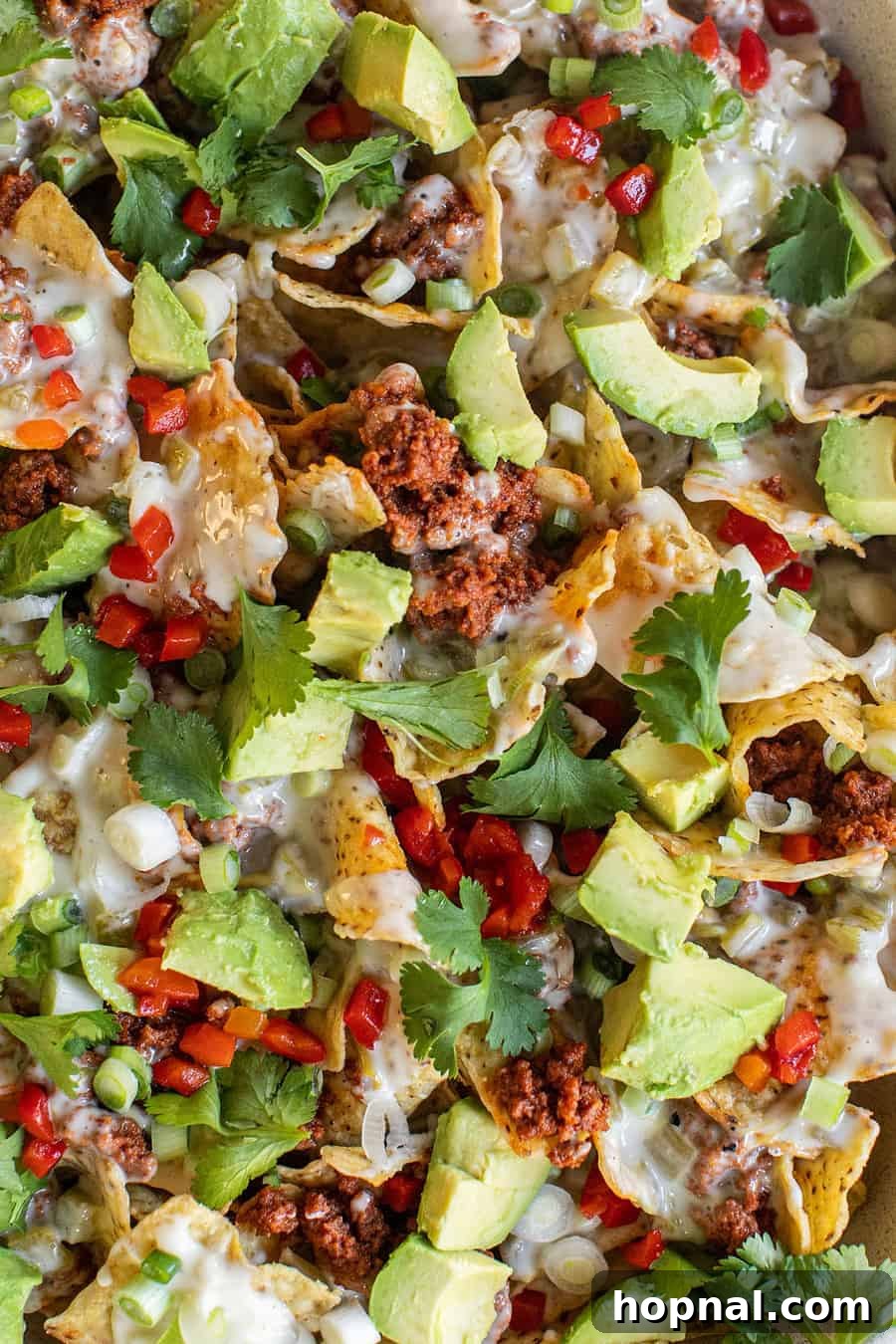 A platter of fully loaded ultimate nachos, generously topped with queso Blanco and chorizo, ready for sharing.