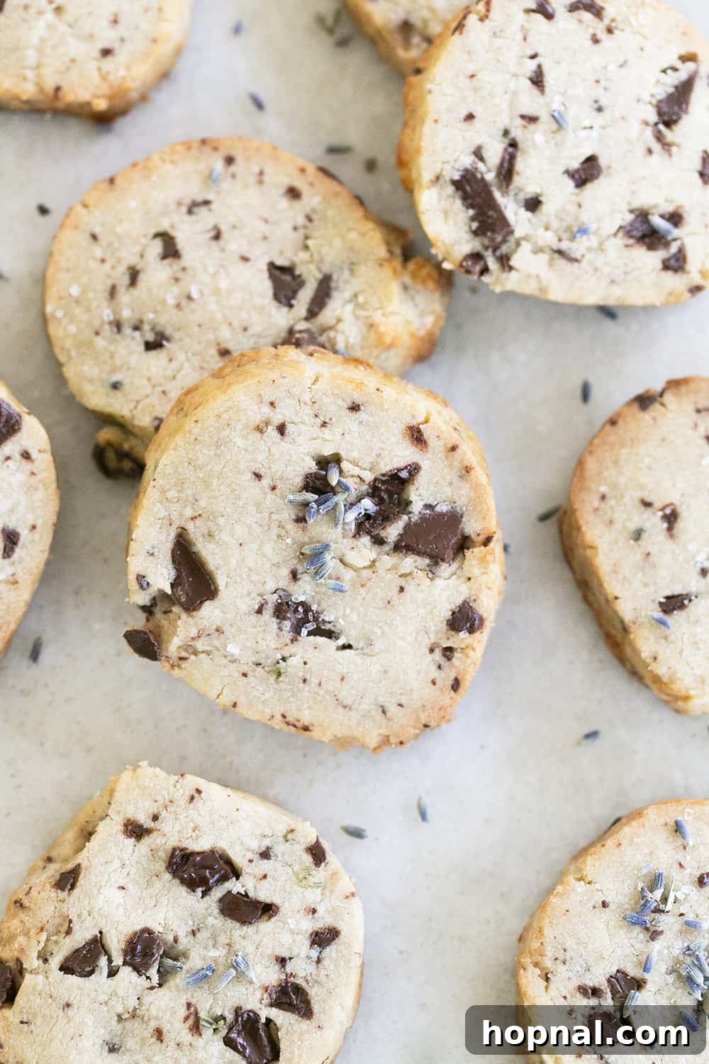 Delicious freshly baked lavender and chocolate shortbread cookies arranged beautifully.