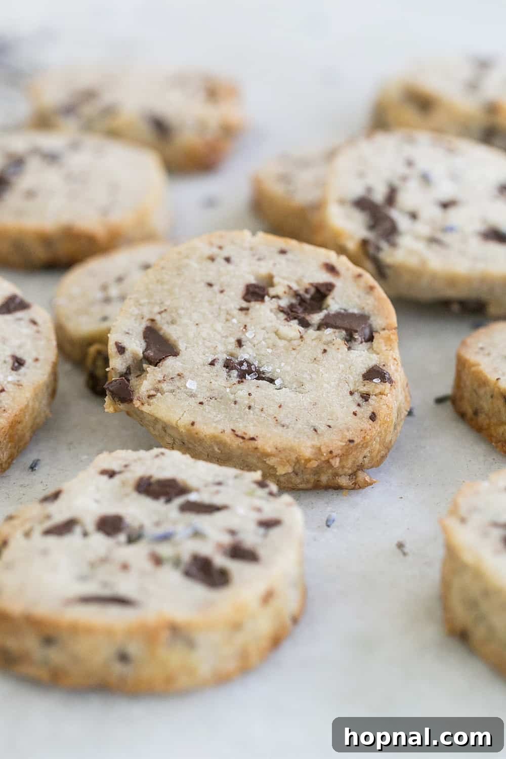 Close-up of baked shortbread cookies showing chocolate chunks and a hint of lavender.