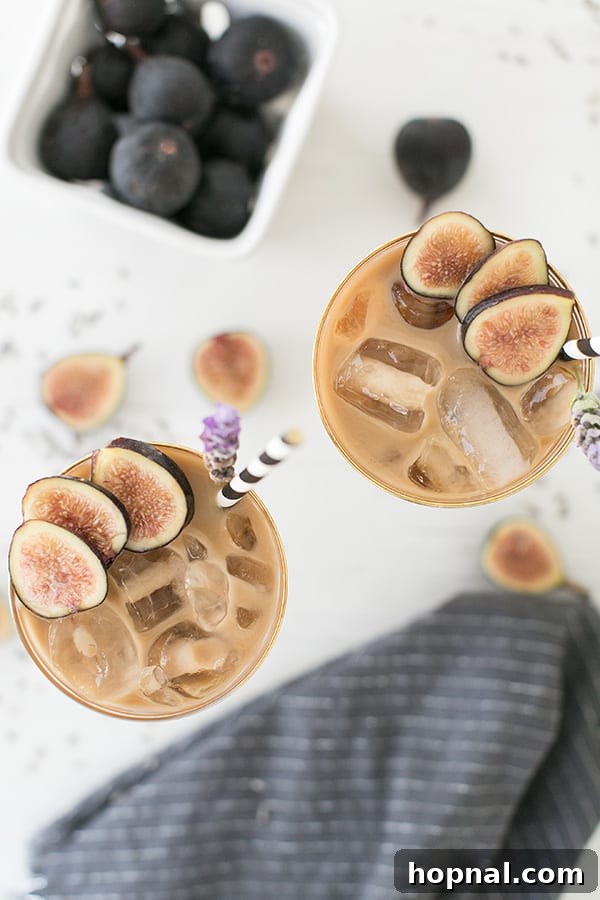 Overhead shot of two beautifully arranged glasses of fig and lavender cold brew coffee, garnished and ready to serve.