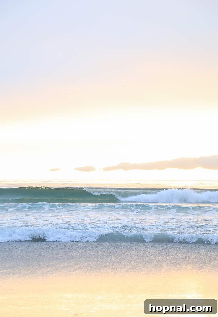 Carmel By The Sea: 10 Must-Experience Wonders 10 Beautiful Carmel by The Sea ocean