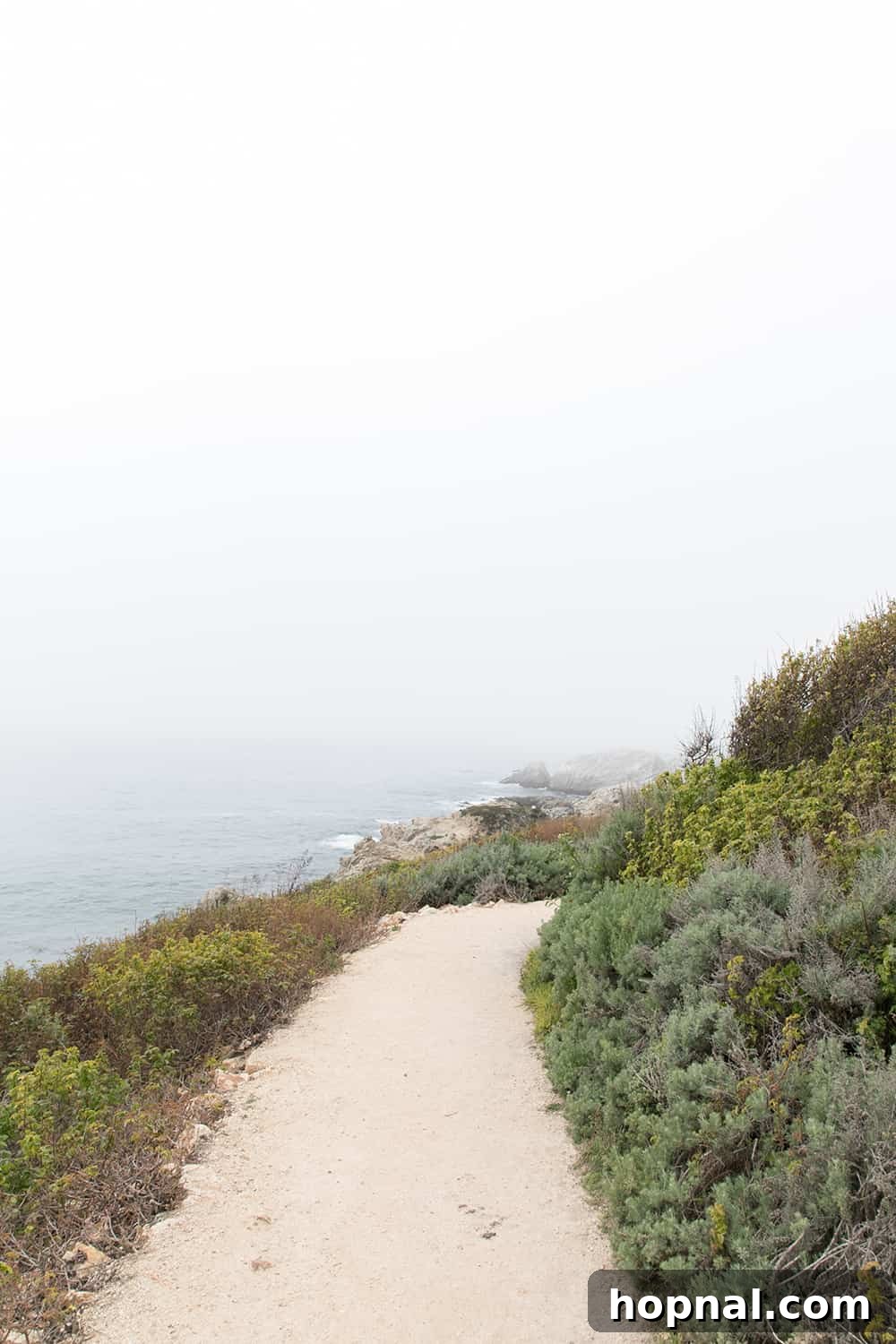 Big Sur One Day: Your Scenic Coastal Itinerary 5 A sandy pathway on a cliff