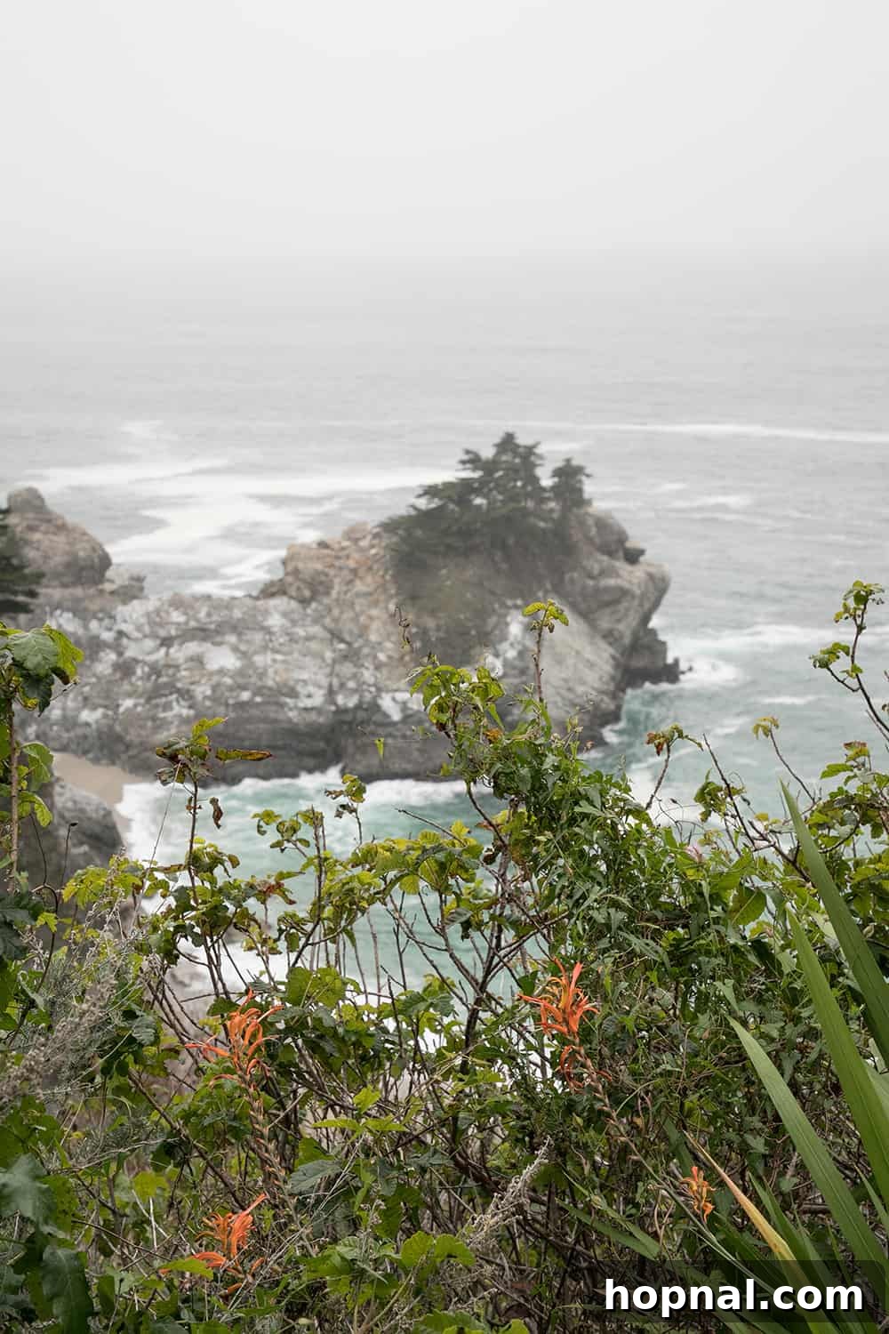 Big Sur One Day: Your Scenic Coastal Itinerary 7 A beautiful vast ocean view of the Pacific Ocean in Big Sur