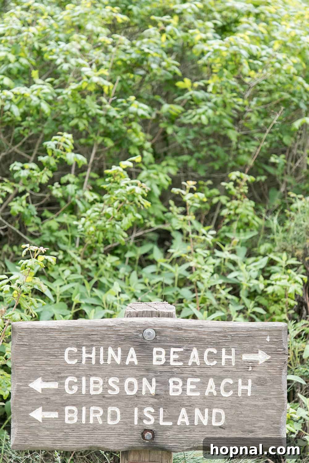Big Sur One Day: Your Scenic Coastal Itinerary 8 wooden beach sign that signs China Beach, Gibson Beach and Bird Beach