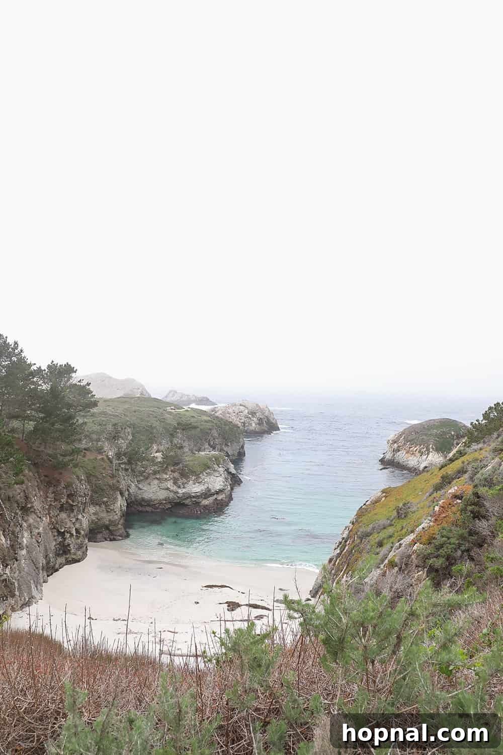 Big Sur One Day: Your Scenic Coastal Itinerary 9 Serene white sand beach at China Cove, Point Lobos State Natural Reserve
