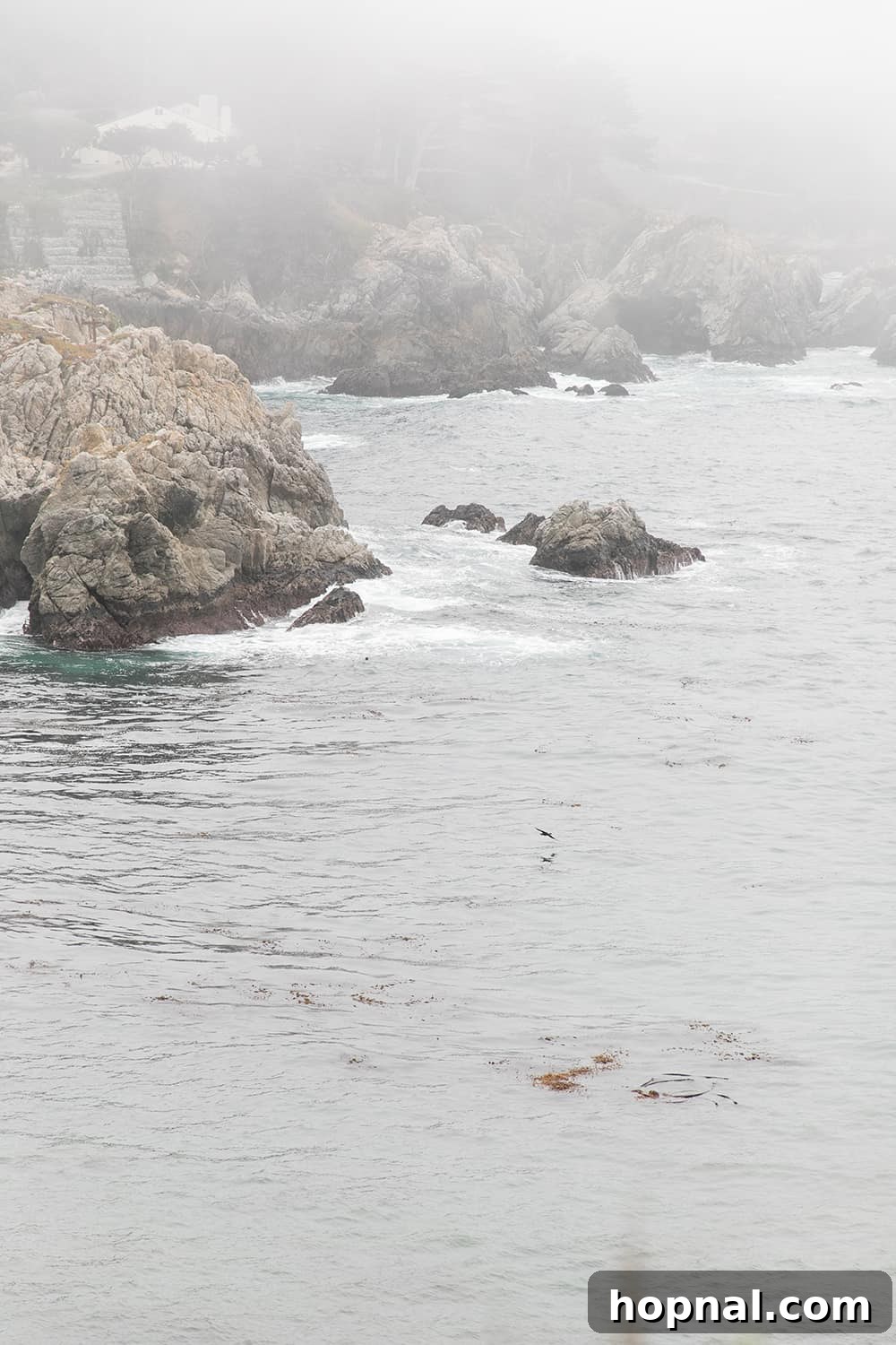 Big Sur One Day: Your Scenic Coastal Itinerary 10 Rocky ocean and cliffs at Point Lobos