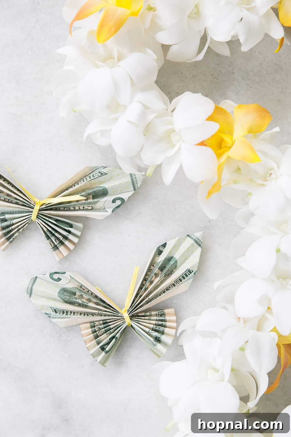 Money origami butterfly on a table - dollar bills, money lei, butterfly money, dollar bill, graduation gift ideas