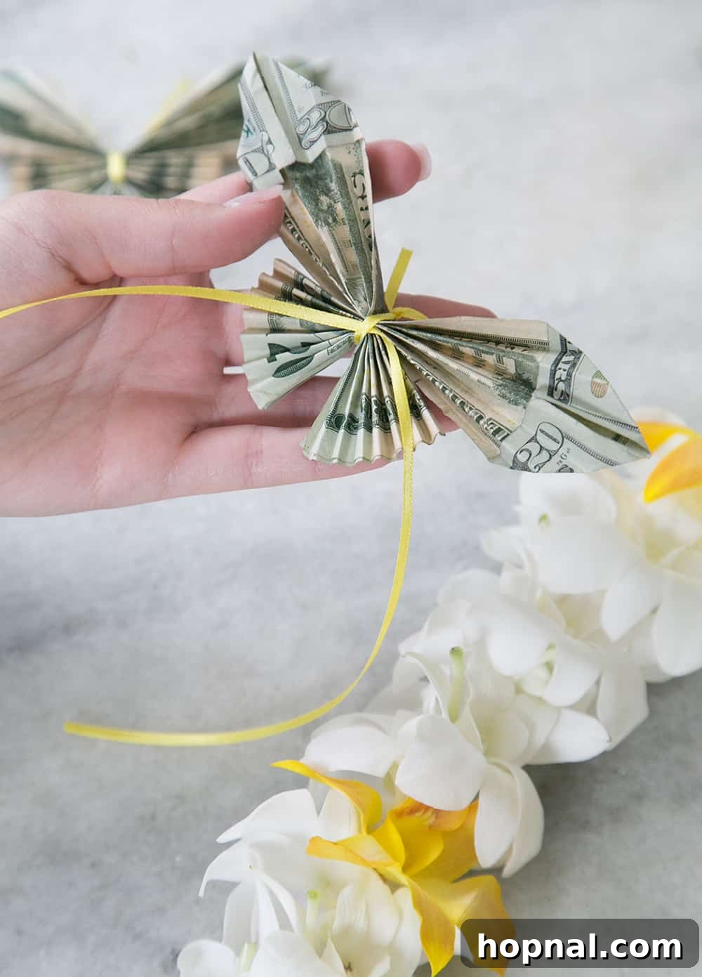 Close up of origami butterfly made of money - dollar bills, money lei, butterfly money lei, butterfly money, dollar bill art