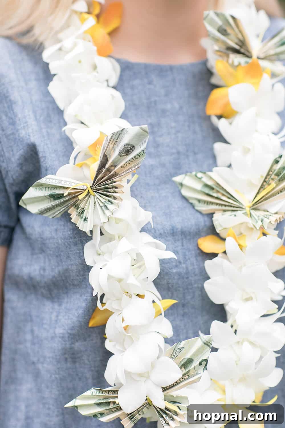 Money lei made with dollar bill butterflies, ready for a graduation celebration