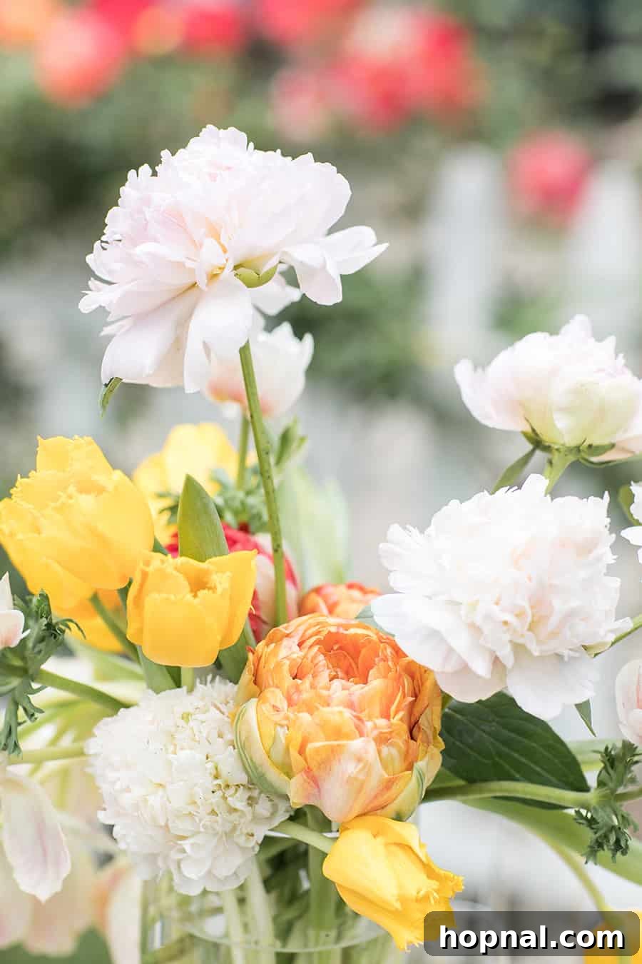 Spring flowers 
