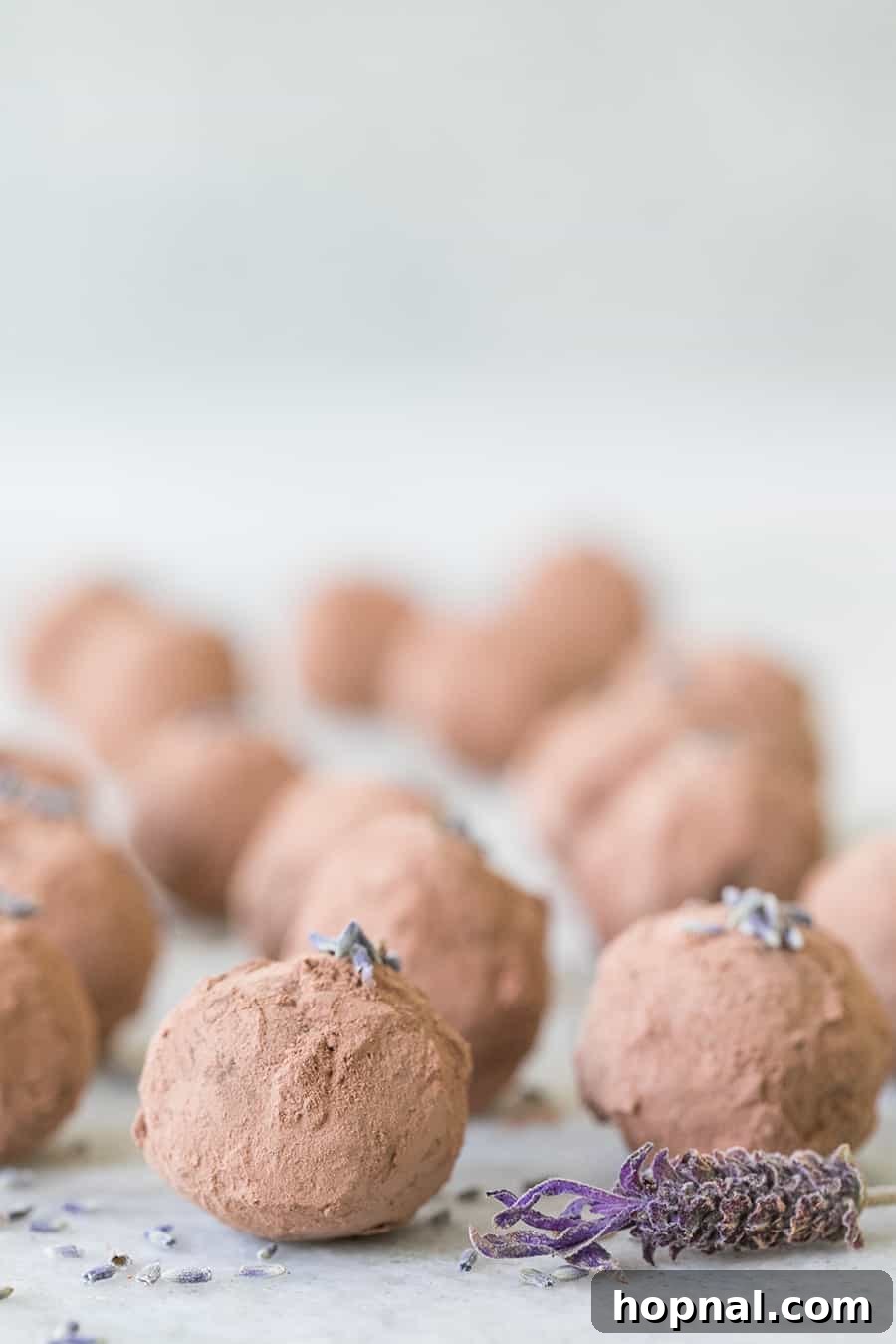 A hand gently scooping chilled lavender-infused ganache from a bowl, preparing to roll it into perfectly formed truffle balls.