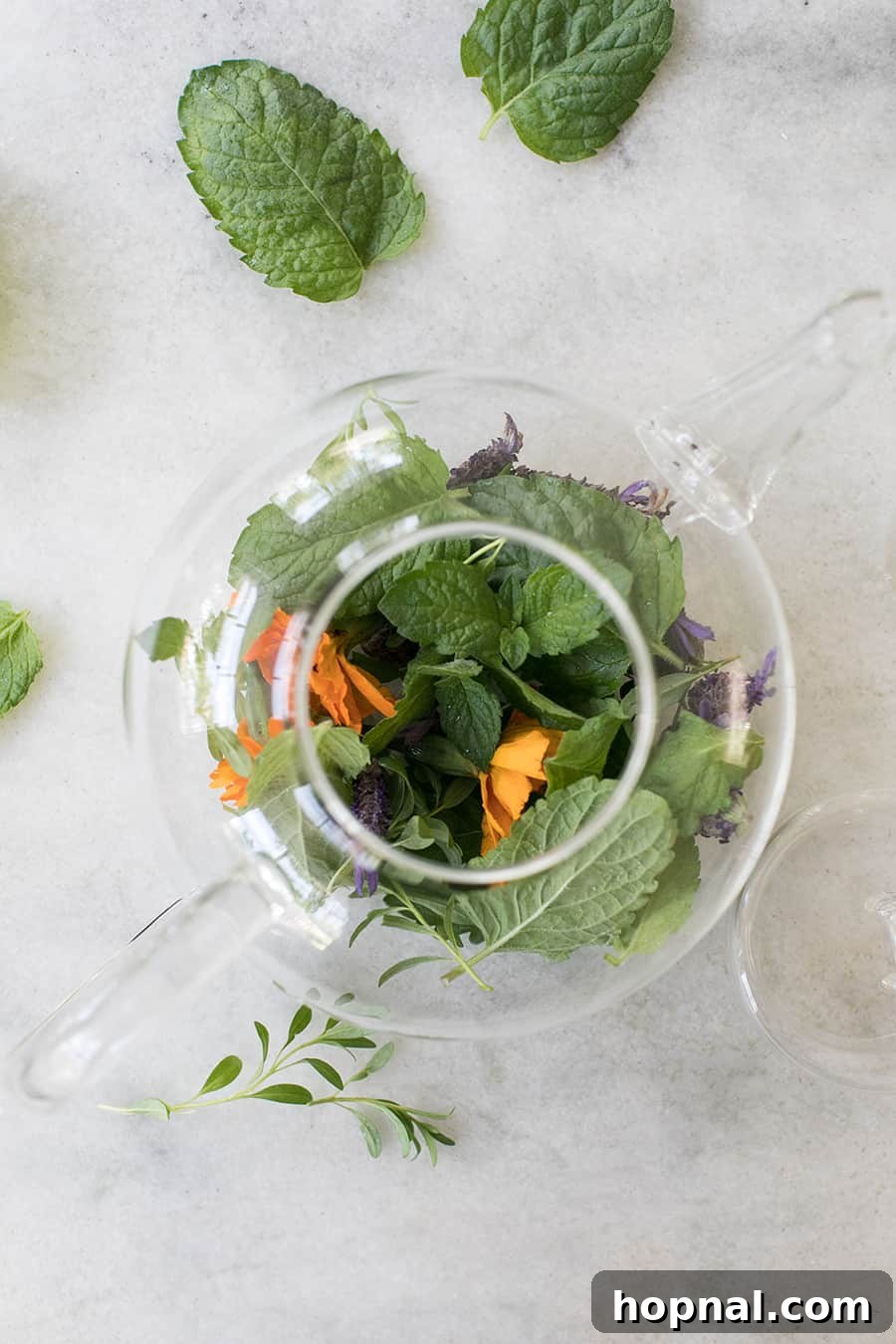 Close-up of a rustic glass teapot filled with a fragrant blend of freshly picked Hyssop, delicate lavender blossoms, cheerful marigold petals, and invigorating mint leaves, ready for steeping.