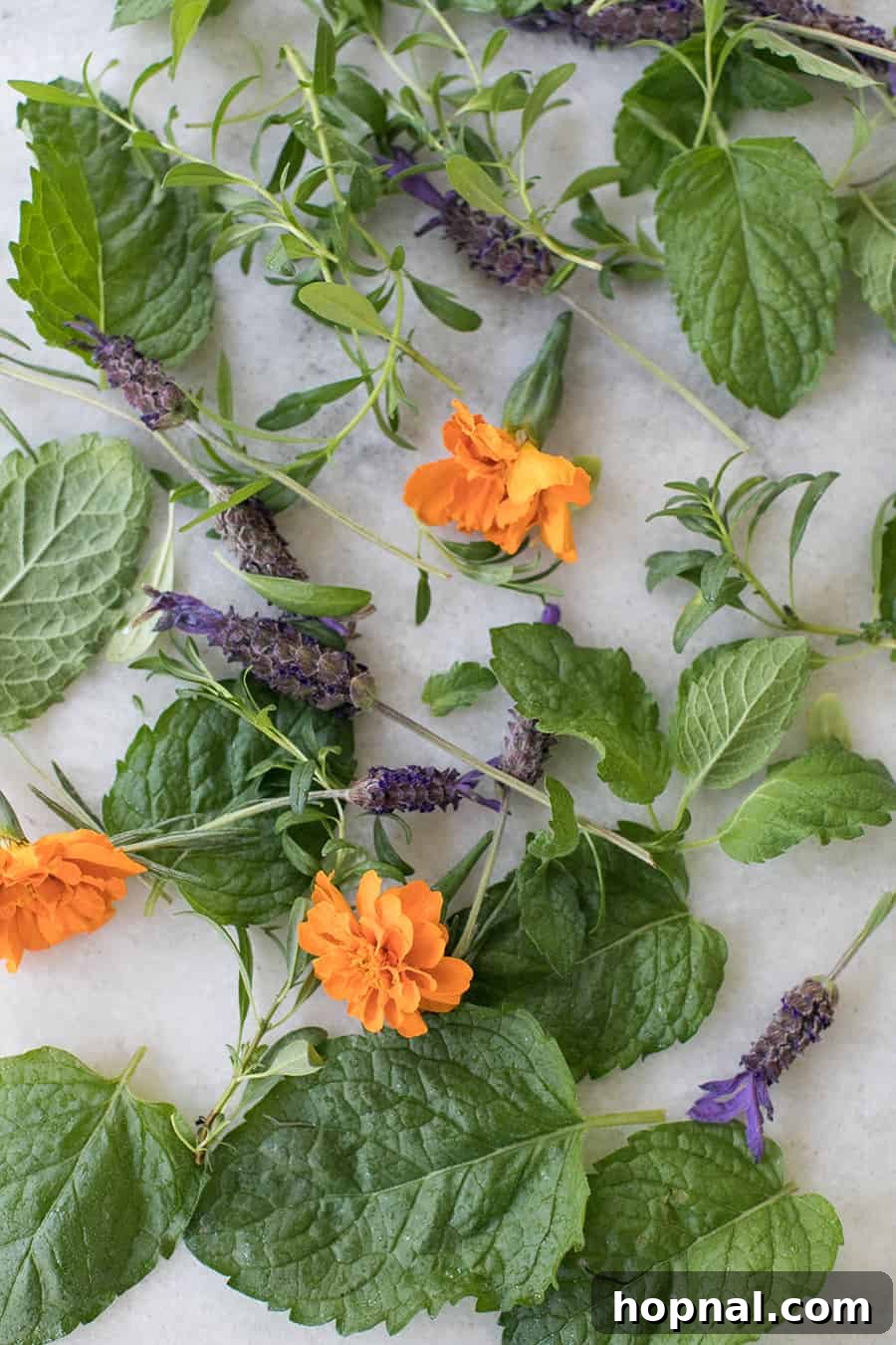 A beautifully presented steaming cup of freshly brewed herbal tea, garnished with a sprig of fresh mint and a delicate tea spoon, radiating warmth and comfort.