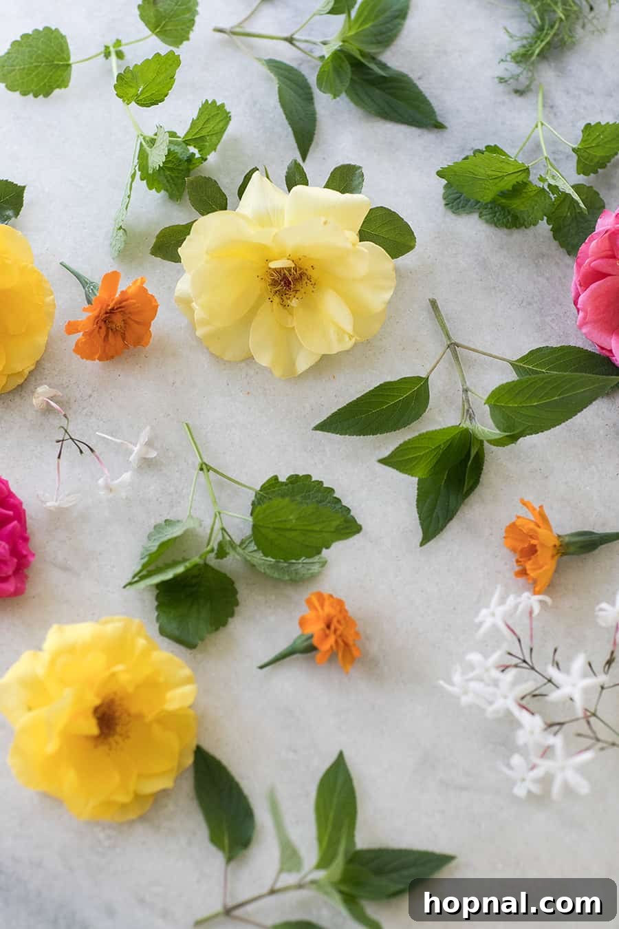 Close-up shot of fresh rose petals, pineapple sage, and lemon balm being gently placed into a tall glass cold brew bottle.
