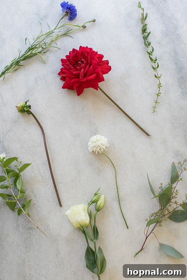 Variety of fresh flowers chosen for a 4th of July arrangement including red dahlias, blue cornflowers, and white scabiosa.