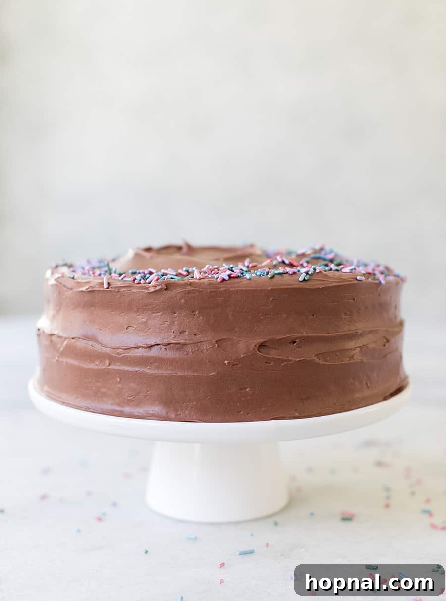 Sinfully Delicious Devil's Food Cake Recipe 2 Side shot of devil's food cake on a white cake stand, showcasing its dark, moist layers.