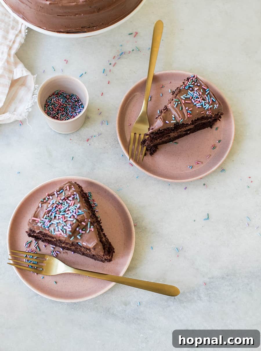 Sinfully Delicious Devil's Food Cake Recipe 3 Top-down shot of slices of chocolate cake with colorful sprinkles on charming pink plates.