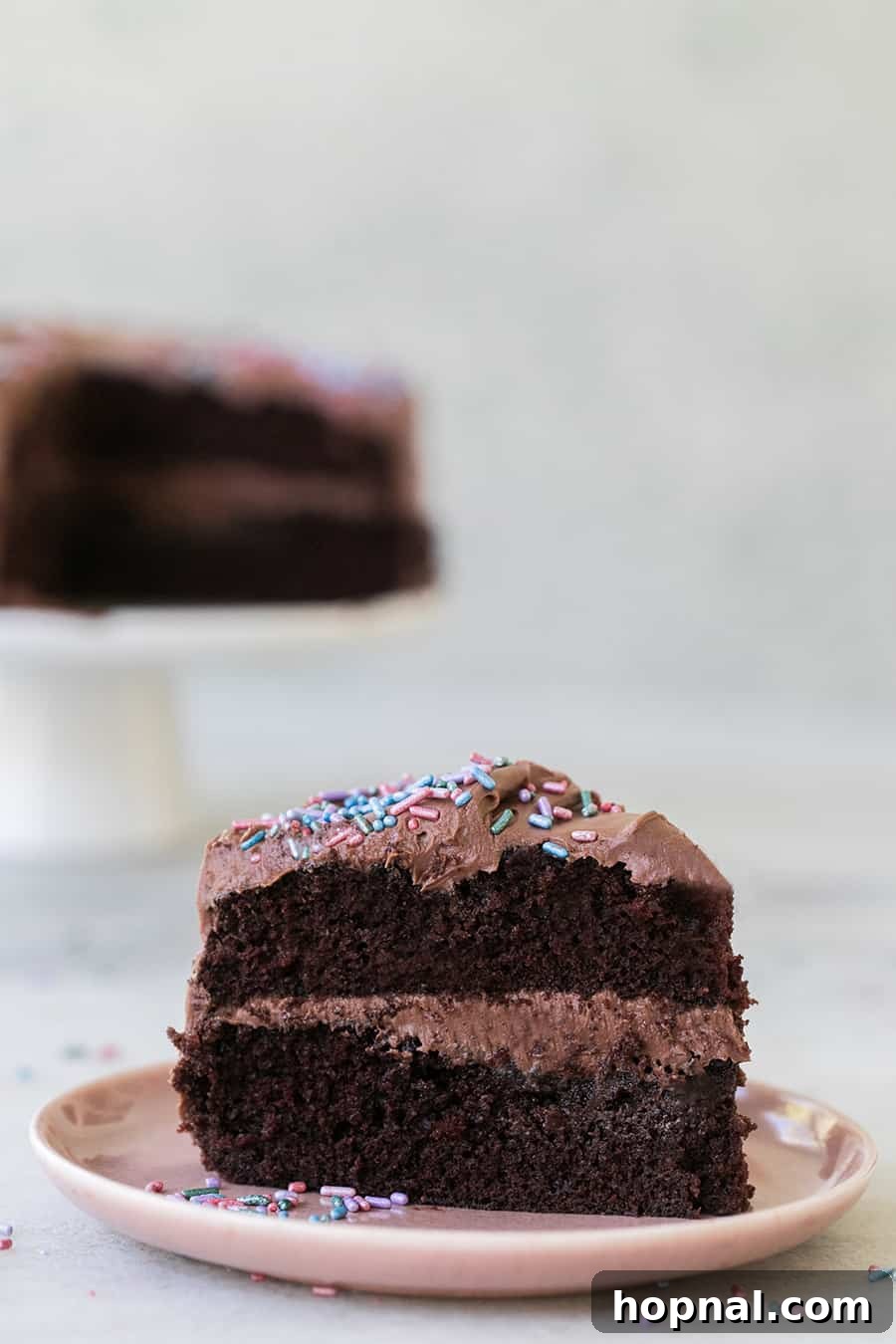Sinfully Delicious Devil's Food Cake Recipe 4 Close-up side shot of a perfectly layered slice of Devil's Food Cake, revealing its moist crumb and rich frosting.