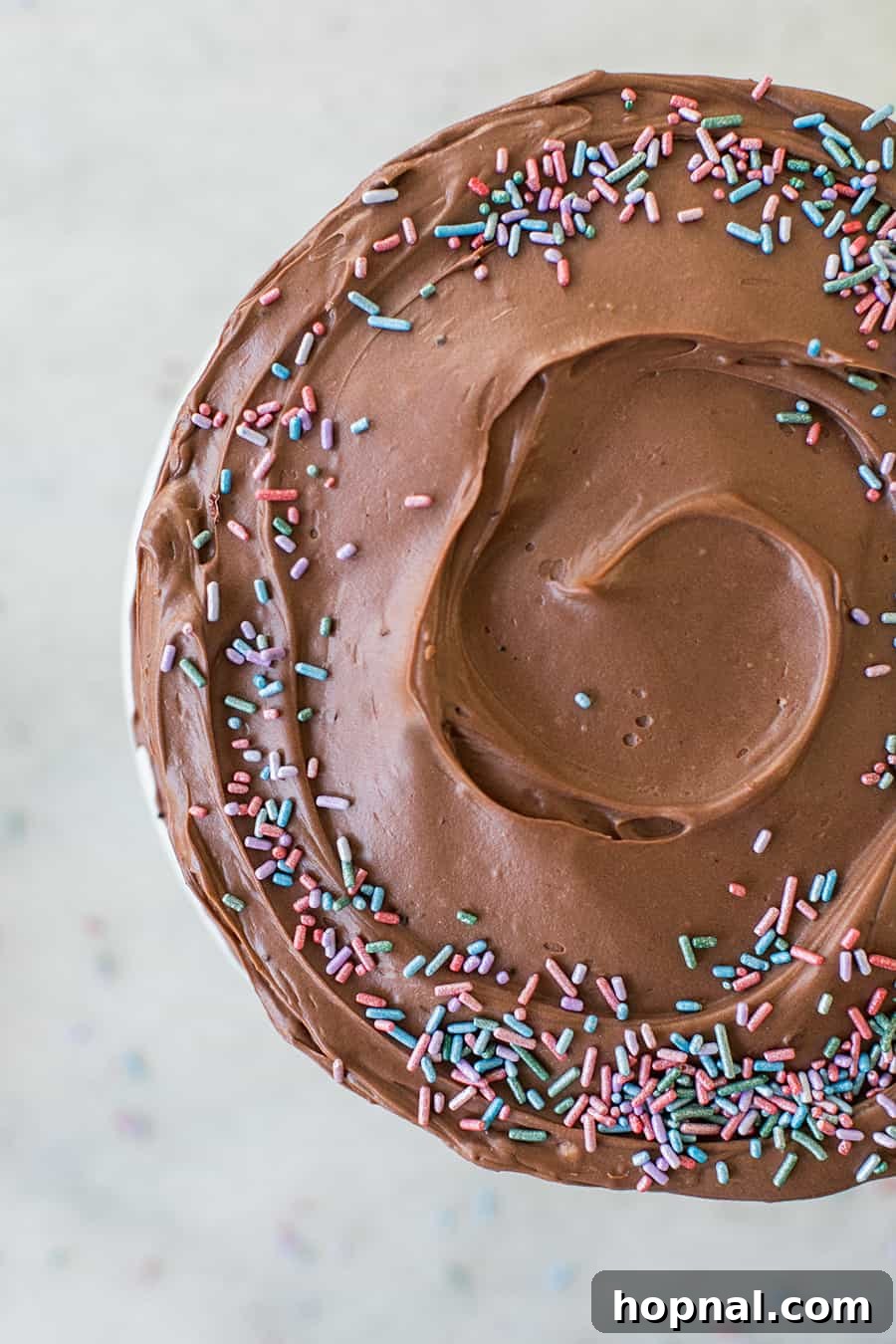 Sinfully Delicious Devil's Food Cake Recipe 6 Overhead view of a luscious chocolate cake generously adorned with natural, colorful sprinkles.