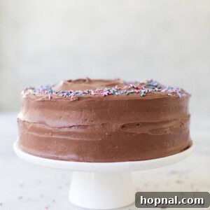 Sinfully Delicious Devil's Food Cake Recipe 7 The Best Devil’s Food Cake Recipe with Sour Cream Frosting