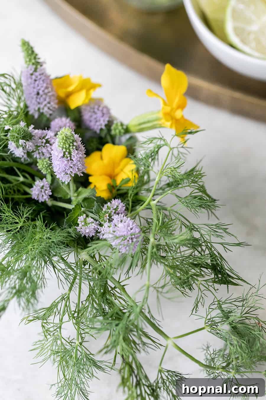 Craft Your Ultimate Home Bloody Mary Bar 8 A close-up photograph highlighting the delicate freshness of bright green dill sprigs.